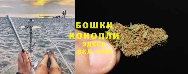 гашик Богданович