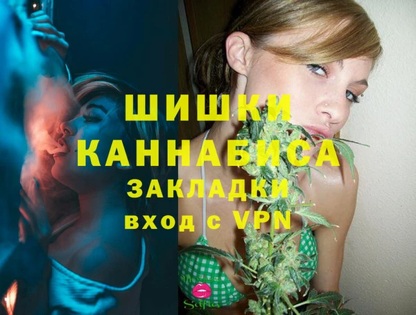 гашик Богданович