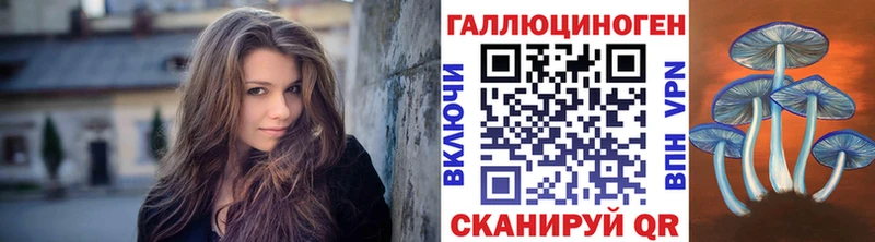 Псилоцибиновые грибы Psilocybe Старица